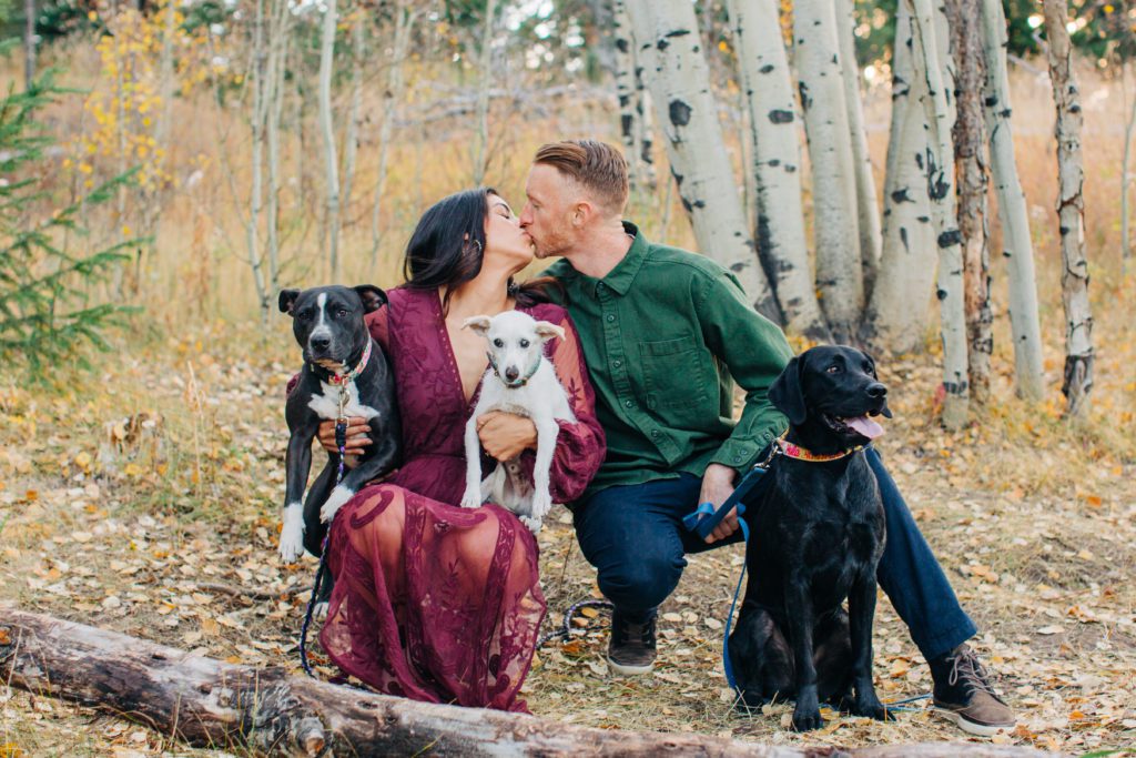Couple brings their dogs to their engagement session